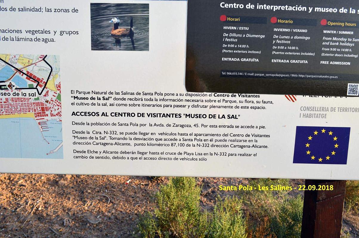 33 SANTA POLA LES SALINES (38).JPG
